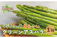 ＜北海道産 夏採れグリーンアスパラ １㎏＞シャッキリみずみずしい味わい！！ 北海道 北海道産 国産 産地直送 乙部町 旬 新鮮 農家直送 あすぱら アスパラガス 野菜 冷蔵配送 L以上 お取り寄せ 送料無料