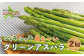※写真はイメージ見本となります