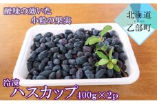 ＜山科農園 冷凍ハスカップ（400ｇ×2）＞北海道 ハスカップ 摘み立て 手摘み