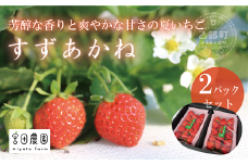＜すずあかね 2パックセット＞ 北海道 道産 夏いちご すずあかね