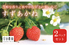 ＜すずあかね 2パックセット＞ 北海道 道産 夏いちご すずあかね