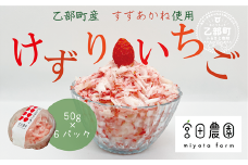 ＜けずりいちご 50g×6パック＞乙部町宮田農園のすずあかねを使用