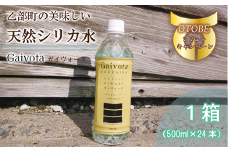 ＜Gaivota 1箱(500ml×24本/箱)＞北のハイグレード食品 天然シリカ水 ミネラルウォーター 軟水 北海道産 北海道 乙部町 天然水 美容 ケイ素 無添加 シリカ ガイヴォータ 美肌 ミネラル 口当たり まろやか 備蓄 災害用 非常用