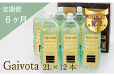 ＜定期便 Gaivota2箱(2L×12本)×6回＞北のハイグレード食品 天然シリカ水 ミネラルウォーター 軟水 北海道産 北海道 乙部町 天然水 美容 ケイ素 無添加 シリカ ガイヴォータ 美肌 ミネラル 口当たり まろやか 備蓄 災害用 非常用 リピーター 6か月 備蓄 災害用 非常用