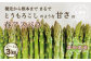 ※写真はイメージ見本となります