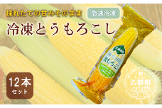 ＜ささや農園産 極★凍結とうもろこし 12本＞北海道 道産 国産 乙部町 とうもろこし とうきび 冷凍 急速冷凍 鮮度そのまま 甘さ 糖度 個包装 ゴールドラッシュ 恵味ゴールド