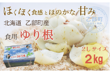 ＜乙部町特産　ゆり根＞しっとり上品な味わいの栄養満点な冬の味覚