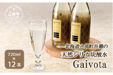 ＜Gaivota炭酸水 瓶1箱(720ml×12本)＞北のハイグレード食品 天然シリカ 炭酸水 北海道 乙部町 ミネラルウォーター 水 炭酸水 天然シリカ水 スパークリング 軟水 美容 ケイ素 無添加 美のミネラル シリカ ガイヴォータ 美肌 ミネラル