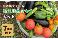 ＜丘の風ファーム 野菜詰め合わせセット＞