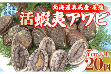奥尻産活蝦夷アワビ（養殖）２０個入り ふるさと納税 鮑 あわび アワビ 蝦夷あわび 蝦夷アワビ 蝦夷鮑 活 活蝦夷アワビ 北海道 奥尻町 送料無料 OKUF005