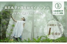 奥尻島ブナ原生林ガイドツアー １名様分(ハンモックと湧き水コーヒー付き 2時間) 体験チケット 体験 ブナ原生林 ガイド ツアー ハンモック 湧き水 自然林 散策 OKUE004