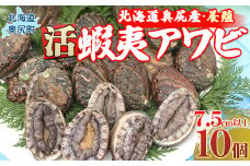 奥尻島産蝦夷アワビ（養殖）10ケ入り75mm以上 ふるさと納税 鮑 あわび アワビ 蝦夷あわび 蝦夷アワビ 蝦夷鮑 活 活蝦夷アワビ 北海道 奥尻町 送料無料 OKUF010