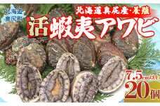 奥尻島産蝦夷アワビ（養殖）20ケ入り75mm以上 ふるさと納税 鮑 あわび アワビ 蝦夷あわび 蝦夷アワビ 蝦夷鮑 活 活蝦夷アワビ 北海道 奥尻町 送料無料 OKUF011