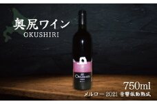 「奥尻ワイン」OKUSHIRI『メルロー2021　音響振動熟成』 【 ふるさと納税 人気 おすすめ ランキング ワイン 奥尻ワイン 赤ワイン メルロー 赤 OKUSHIRI 北海道 奥尻町 送料無料 】 OKUM011