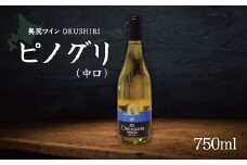 「奥尻ワイン」ピノグリ（中口） 【 ふるさと納税 人気 おすすめ ランキング ワイン 奥尻ワイン OKUSHIRI 白ワイン 白 ピノ・グリ 北海道 奥尻町 送料無料 】 OKUM014