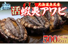 【2025年10月下旬以降発送】奥尻産天然アワビ500ｇ以上 【 ふるさと納税 人気 おすすめ ランキング あわび アワビ 鮑 貝 天然 魚介 蝦夷アワビ 新鮮 活あわび 活アワビ 北海道 奥尻町 送料無料 】 OKUF012