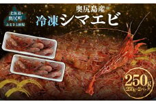 奥尻島産  冷凍縞エビ 250ｇ×2パック 【 ふるさと納税 人気 おすすめ ランキング 縞エビ エビ えび 海老 天ぷら エビフライ 刺身 プリプリ 新鮮 贈答品 北海道 奥尻町 送料無料 】 OKUJ004