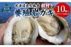 【先行予約 2025年7月20日より発送】奥尻島産養殖岩ガキ【Mサイズ】殻付き　10個入り（加熱食用）～豊かな海が育てた海の宝石～ OKUY001