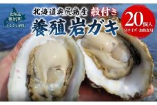 【先行予約 2025年7月20日より発送】奥尻島産養殖岩ガキ【Mサイズ】殻付き　20個入り（加熱食用）～豊かな海が育てた海の宝石～ 【 ふるさと納税 人気 おすすめ ランキング 岩ガキ 牡蠣 かき カキ 蒸しガキ カキフライ バター焼き 鍋 北海道 奥尻町 送料無料 】 OKUY002