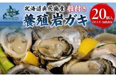 【先行予約 2025年7月20日より発送】奥尻島産養殖岩ガキ【Sサイズ】殻付き　20個入り（加熱食用）～豊かな海が育てた海の宝石～ 【 ふるさと納税 人気 おすすめ ランキング 岩ガキ 牡蠣 かき カキ 蒸しガキ カキフライ バター焼き 鍋 北海道 奥尻町 送料無料 】 OKUY004