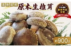 【先行予約】原木栽培 生椎茸 約900g 里の恵 しいたけ シイタケ きのこ キノコ 椎茸 野菜 F21W-259