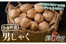 【先行予約】北海道今金町産男爵いも 約5kg 【2025年10月下旬以降順次出荷】 北海道産 じゃがいも ジャガイモ だんしゃく 野菜 ほくほく しっとり 常備野菜 F21W-485