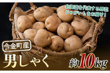 【先行予約】北海道今金町産男爵いも 約10kg 【2025年10月下旬以降順次出荷】 北海道産 じゃがいも ジャガイモ だんしゃく 野菜 ほくほく しっとり 常備野菜 F21W-486