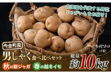 【定期便】北海道今金町産男爵いも【秋の新ジャガ】【春の越冬イモ】食べ比べセット 計10kg 北海道産 じゃがいも ジャガイモ だんしゃく 野菜 セット ほくほく しっとり 常備野菜 F21W-399