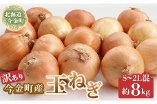 【訳あり】今金町産玉ねぎ8kg(S～2Lサイズ混合）北海道 たまねぎ F21W-418