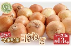 【訳あり】今金町産玉ねぎ13kg(S～2Lサイズ混合） 甘い 北海道 たまねぎ タマネギ 玉葱 万能 常備野菜 F21W-398