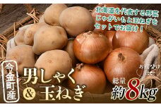 【先行予約】 2種計約8kg！今金町産男しゃく約4kg・今金町産玉ねぎ約4kg 北海道産 男爵 じゃがいも ジャガイモ ほくほく しっとり たまねぎ 玉ねぎ 野菜 常備野菜 セット 詰め合わせ F21W-397