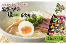 【北海道産小麦100%使用】生ラーメン塩6食セット（3袋） F21W-385  