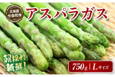 朝採れ新鮮アスパラ 750g （Lサイズ） F21W-458