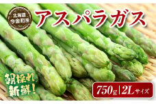 朝採れ新鮮アスパラ 750g （２Lサイズ） F21W-459