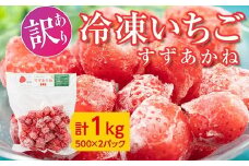 【訳あり・数量限定】北海道今金町産 冷凍いちご 1kg(500g×2パック) すずあかね 北海道 今金町産 苺 イチゴ いちご 冷凍フルーツ デザート おやつ ビタミン 小分け パック F21W-327