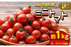 【訳あり】ミニトマト 約1kg (2S～3Lサイズ混合) トマト フルーツトマト 産地直送 甘いトマト 熟成トマト F21W-491
