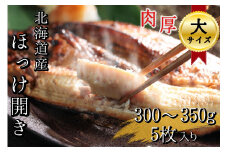 【大サイズ】北海道産 根ほっけ開き 5枚(合計1.5~1.75kg) 真空パック 旬 肉厚 干物 冷凍 一夜干し 海鮮 せたな町 ふるさと納税