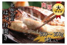【大サイズ】北海道産 根ほっけ開き 5枚(合計1.5~1.75kg) 真空パック 旬 肉厚 干物 冷凍 一夜干し 海鮮 せたな町 ふるさと納税