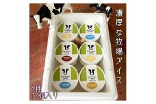 【北海道産搾りたて生乳使用】ひらかわ牧場のアイスクリーム 大人気の4種12個セット フレッシュミルク バニラ チョコ キャラメルクランチ デザート スイーツ お取り寄せ ギフト せたな町 ふるさと納税