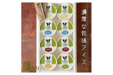 【北海道産搾りたて生乳使用】ひらかわ牧場のアイスクリーム 定番の5種8個セット フレッシュミルク バニラ チョコ キャラメルクランチ 抹茶 デザート スイーツ お取り寄せ ギフト せたな町 ふるさと納税