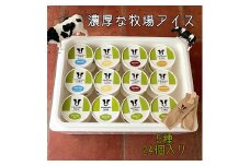 【北海道産搾りたて生乳使用】ひらかわ牧場のアイスクリーム 定番の5種24個セット フレッシュミルク バニラ チョコ キャラメルクランチ 抹茶 デザート スイーツ お取り寄せ ギフト せたな町 ふるさと納税