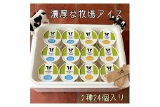 【北海道産搾りたて生乳使用】ひらかわ牧場のアイスクリーム おすすめ2種24個セット フレッシュミルク キャラメルクランチ デザート スイーツ お取り寄せ ギフト せたな町 ふるさと納税