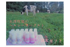 【大津牧場の搾りたてミルク使用】北海道産 のむヨーグルト ヘルシーセット 16本 プレーン無糖 ビーツ ダイエット 産地直送 牛乳 ヨーグルト せたな町 ふるさと納税