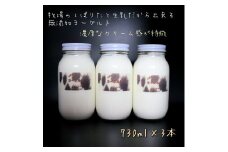 【北海道産搾りたて生乳100%使用】よーぐると工房Bawのプレミアムヨーグルト 加糖 730ml×3本 無添加 デザート スイーツ ミルク 牛乳 産地直送 せたな町 ふるさと納税