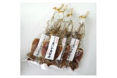 【大好評】北海道産 するめ 16枚セット するめいか 産地直送 無添加 ダイエット 炙り おつまみ 海鮮 せたな町 ふるさと納税