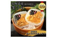 【2025年7月1日から順次発送】【海洋深層水使用】北海道産生うに100g×2個　キタムラサキウニ　直送　旬　パスタ　寿司　焼き　うに丼　海鮮　せたな町　ふるさと納税