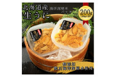 【2025年7月1日から順次発送】【海洋深層水使用】北海道産生うに100g×2個　キタムラサキウニ　直送　旬　パスタ　寿司　焼き　うに丼　海鮮　せたな町　ふるさと納税