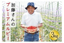 【2025年7月中旬から順次発送】【期間限定】加藤さんのプレミアムルビー 3kg 北海道産 高糖度 フルーツ ミニトマト サラダ パスタ スープ お弁当 産地直送 せたな町 ふるさと納税