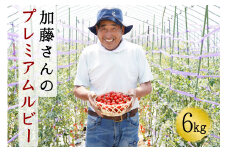 【2025年7月中旬から順次発送】【期間限定】加藤さんのプレミアムルビー 6kg 北海道産 高糖度 フルーツ ミニトマト サラダ パスタ スープ お弁当 産地直送 せたな町 ふるさと納税