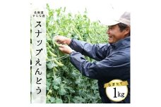 【2025年5月中旬から順次発送】【朝獲れ新鮮】北海道 せたな町産 スナップえんどう 1kg 旬 炒め お弁当 みそ汁 パスタ 天ぷら おつまみ 野菜 ふるさと納税